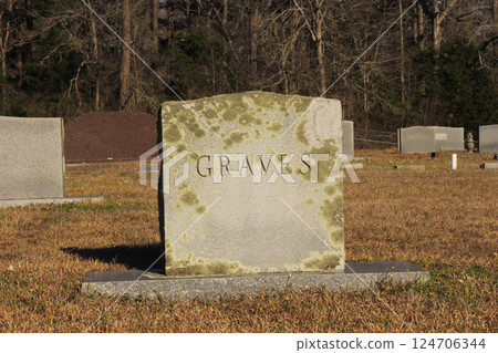 Grave Marker in Rural East Texas With Word Graves 124706344
