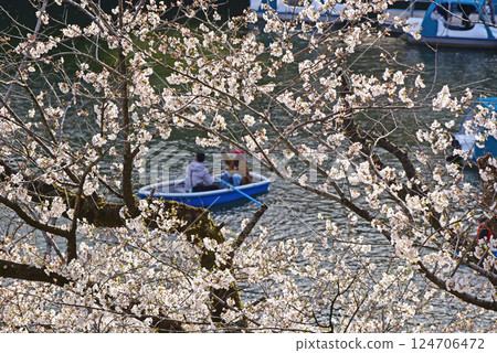 I love cherry blossoms 124706472