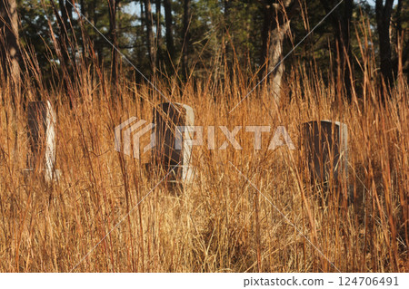 Abandoned Cemetery Located in Rural East TX Barron Cemetery 124706491