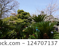 Koishikawa Botanic Garden 124707137