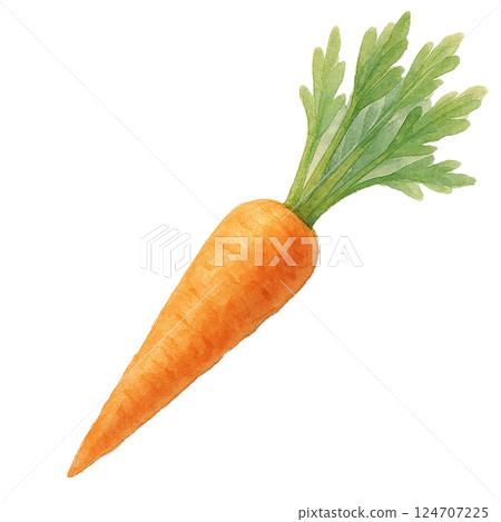 帶葉子的胡蘿蔔水彩插圖(透明背景) 帶葉子的胡蘿蔔水彩插圖(透明背景) 124707225