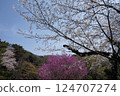 View of Koishikawa Botanical Garden 124707274