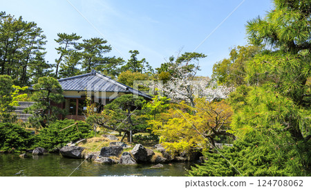 Spring at Hayama Shiosai Park with cherry blossoms in bloom Spring at Hayama Shiosai Park with cherry blossoms in bloom 124708062