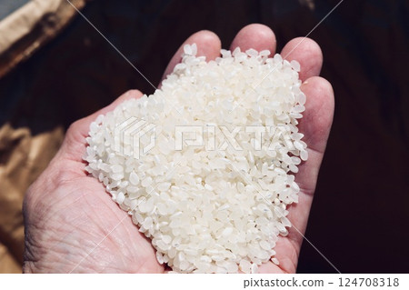 Polished rice in the palm of your hand 124708318