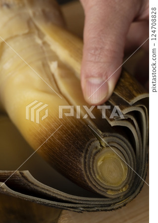 Boiled bamboo shoots as sashimi 124708828