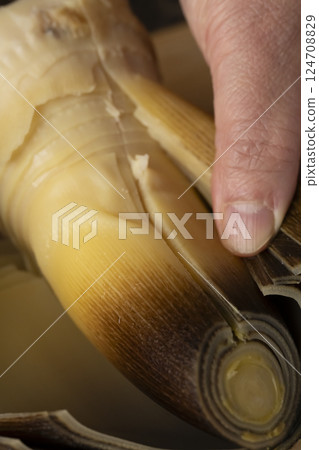 Boiled bamboo shoots as sashimi Boiled bamboo shoots as sashimi 124708829
