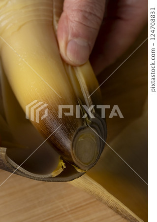 煮竹筍刺身 煮竹筍刺身 124708831