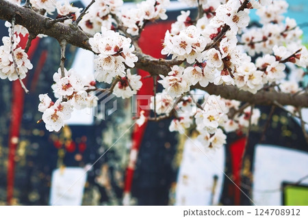 Cherry Blossom Branch with Abstract Background for Modern Art Aesthetic 124708912