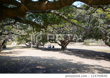 Children gather to play at the ruins of Akashi Castle in Akashi, Hyogo (late spring) 124709640