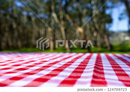Red checkered picnic tablecloth in forest setting under bright sunlight 124709723