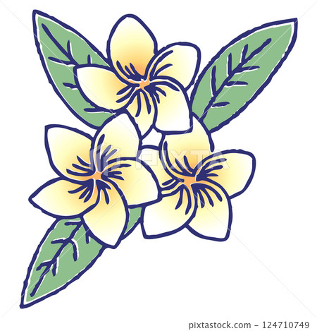 Hand-drawn pen drawing of plumeria Hand-drawn pen drawing of plumeria 124710749