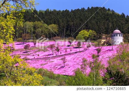北海道瀧上町 - 日本最大的芝櫻群落，帶你走進芝櫻瀧上公園的夢幻世界 [5月] 124710885
