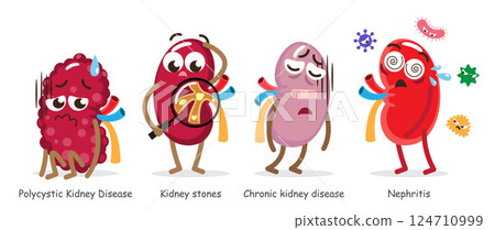 Kidney diseases . Include Polycystic Kidney Disease, Renal stones, Chronic renal failure, Nephritis . Collection of cute medical cartoon characters . Isolated white background . Vector . 124710999