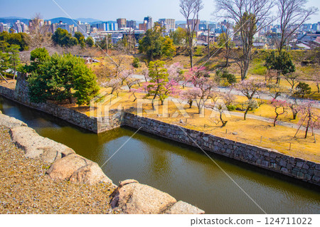 [Kyoto Scenery] Nijo Castle - A tranquil plum grove viewed from the castle tower 124711022