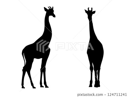 Giraffe silhouette Giraffe silhouette 124711241
