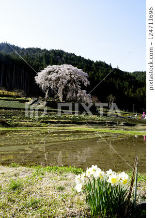 Landscape with Narcissus 124711696