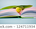 A single yellow tulip lies on an open book 124711934