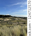 South Kennemerland National Park, Netherlands 124712570