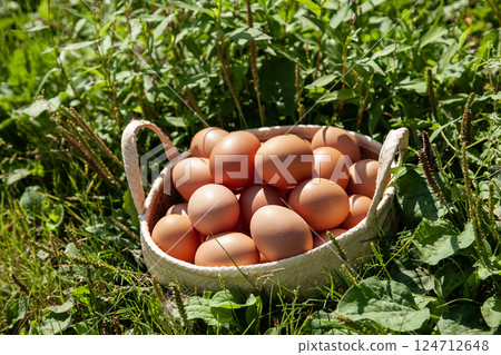 Flat-fed eggs 124712648