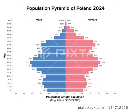 Population pyramid of Poland 2024. Age structure diagram and graphical illustration of the distribution of almost 39 million people, divided into females and males, quoted in percent and 4-year steps. 124712936