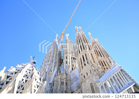 Sagrada Familia Cathedral 124713135