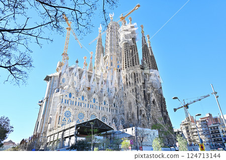 Sagrada Familia Cathedral Sagrada Familia Cathedral 124713144