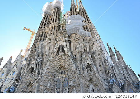 Sagrada Familia Cathedral 124713147