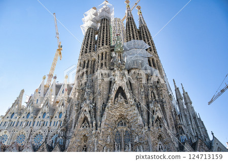 Sagrada Familia Cathedral 124713159