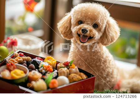 寵物與年度活動 |新年（玩具貴賓犬） 124713266