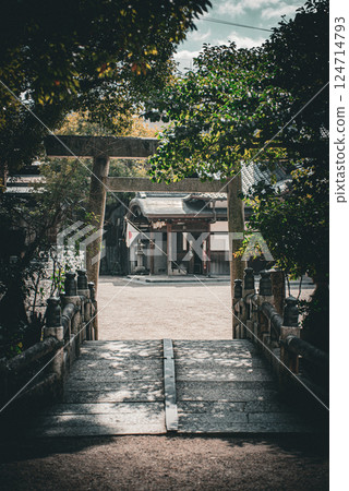 Japanese flag and torii gate Japanese flag and torii gate 124714793