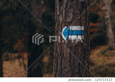 Blue painted arrow showing direction on the tree trunk growing in forest with green plants. Hiking trail sign painted on tree bark in the forest for tourists and hikers. 124715513