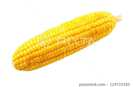 Corn Cob 124715585