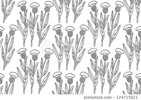 Line art botanical floral seamless pattern with plants cornflowers vector illustration.Outline repeating doodle flowers in white background. Graphic design for Fashion Cover Textile Coloring Page Card 124715621