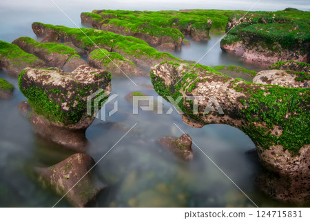 Green Algae Rocks at Laomei Coast, Taiwan. 124715831