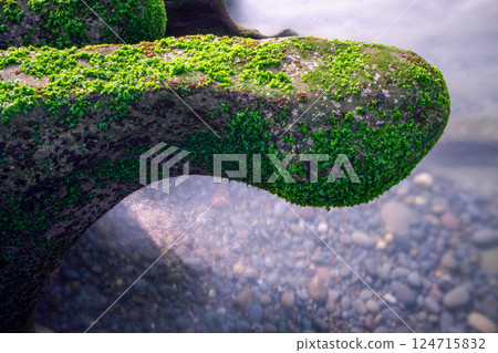 Emerald Dreams: Coastal Magic of Laomei, Taiwan. 124715832