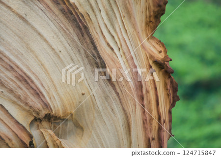 Intricate Rock Striations at Golden Waterfall, New Taipei City. Intricate Rock Striations at Golden Waterfall, New Taipei City. 124715847