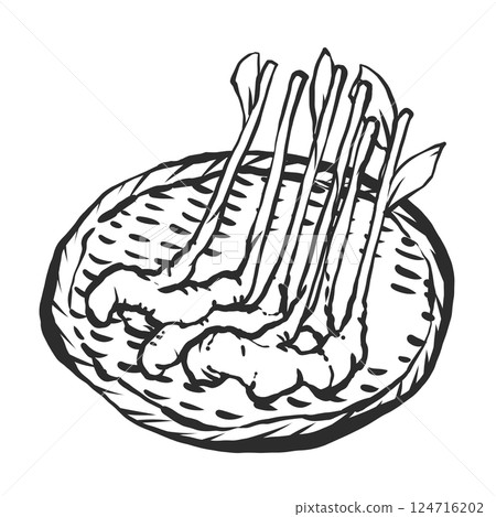 Hand-drawn illustration of fresh ginger 124716202