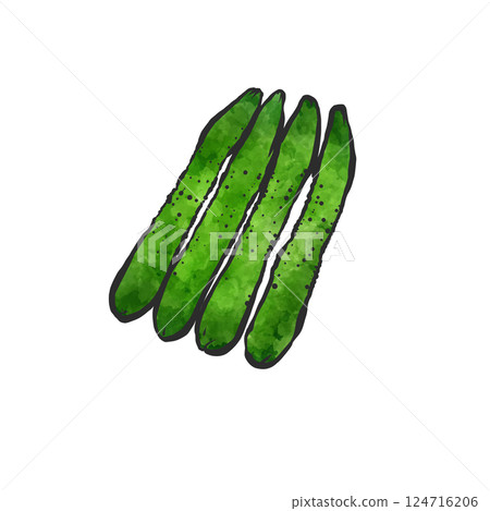 Hand-drawn brush-style illustration of a cucumber Hand-drawn brush-style illustration of a cucumber 124716206