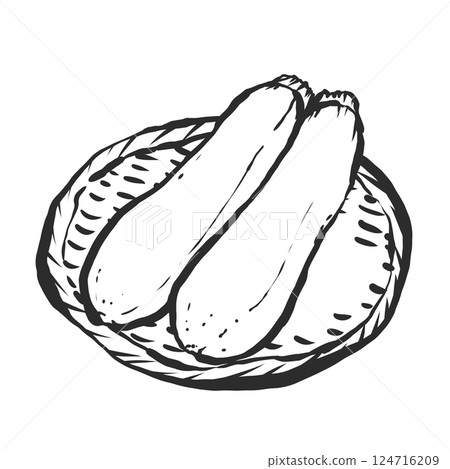 西葫蘆手繪筆刷風格插畫 西葫蘆手繪筆刷風格插畫 124716209