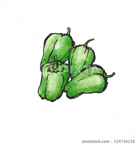 甜椒的手繪插圖 124716218