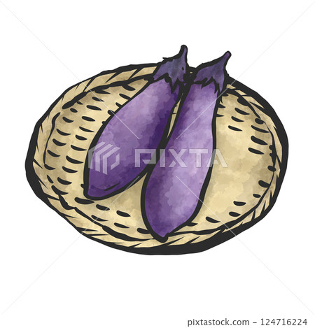 中型茄子的手繪插圖 124716224