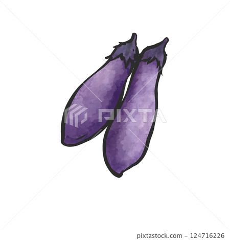 Eggplant hand-drawn illustration 124716226