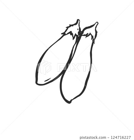 Eggplant hand-drawn illustration Eggplant hand-drawn illustration 124716227