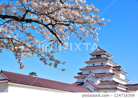 Spring Cherry Blossoms Aizuwakamatsu Castle 124716399