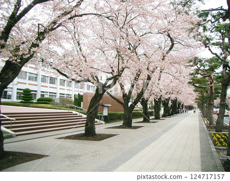 青森縣十和田市政府區(舊市政廳前) 青森縣十和田市政府區(舊市政廳前) 124717157