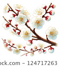 日式梅花枝圖（白色背景） 124717263