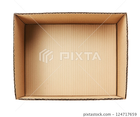 Empty Cardboard Box 124717659