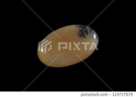 Dendritic Agate A stone that harbors landscapes Dendritic Agate A stone that harbors landscapes 124717679