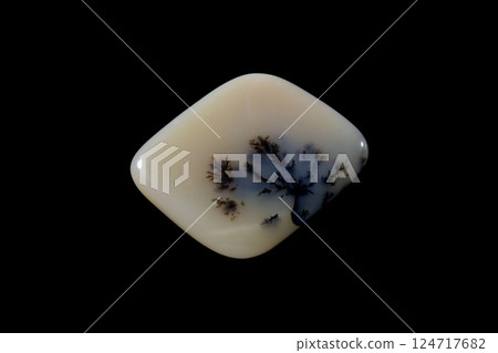 Dendritic Agate A stone that harbors landscapes 124717682