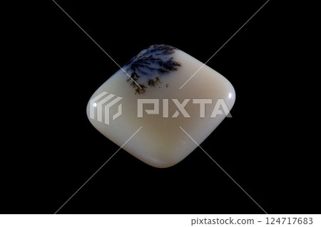 Dendritic Agate A stone that harbors landscapes 124717683